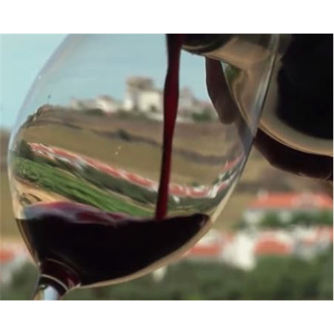 Visita e Prova de Vinhos a Dois | Alentejo | 10 Experiências à Escolha