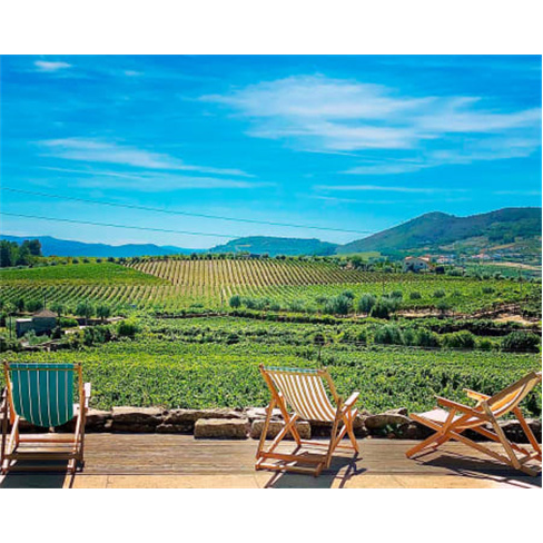 Almoço a Dois com Vista para o Vale do Douro - Tudo Incluído | Vintage Theory