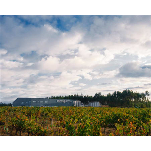 Workshop «O Meu Vinho» para 2 - Faça o Seu Próprio Vinho e Leve-o Para Casa!