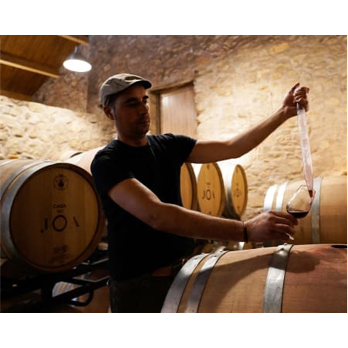 Explora o mundo dos vinhos com um Enólogo na Casa do JOA - Experiência única