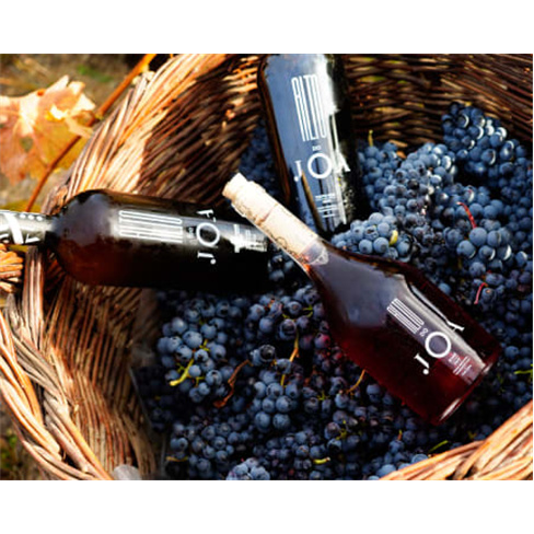 Explora o mundo dos vinhos com um Enólogo na Casa do JOA - Experiência única