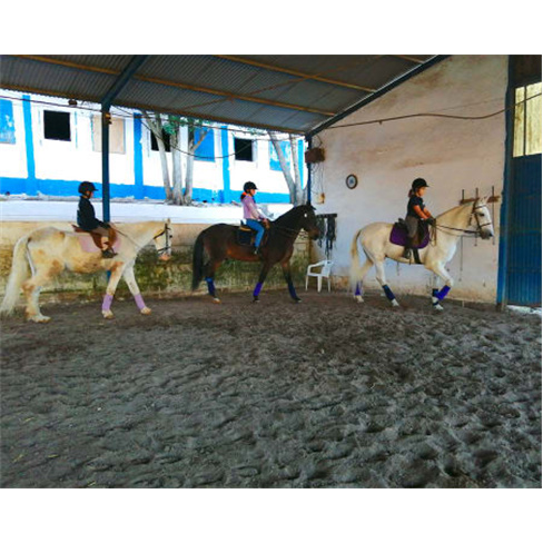 Experiência Equestre | Cent... Vila Franca de Xira Baptismo a Cavalo | 2 Pessoa