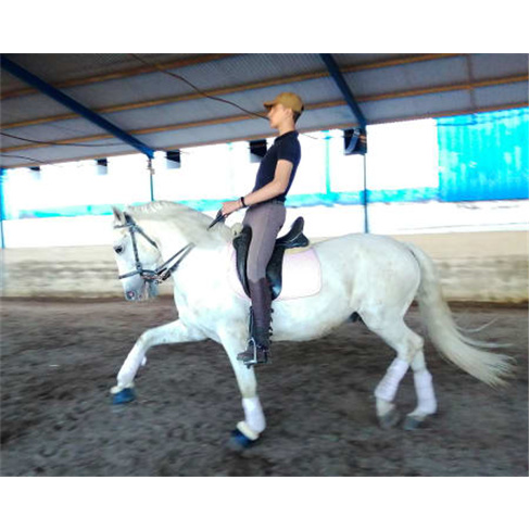 Experiência Equestre | Cent... Vila Franca de Xira Baptismo a Cavalo | 2 Pessoa