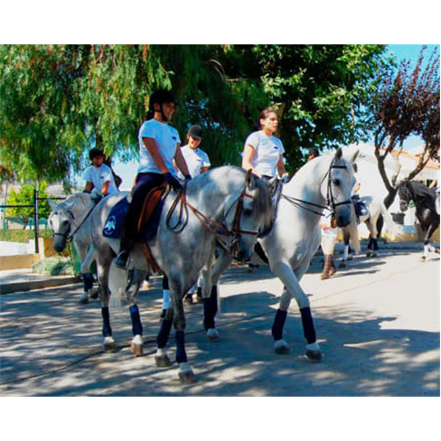 Experiência Equestre | Cent... Vila Franca de Xira Baptismo a Cavalo | 2 Pessoa