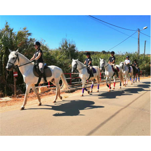 Experiência Equestre | Cent... Vila Franca de Xira Baptismo a Cavalo | 2 Pessoa