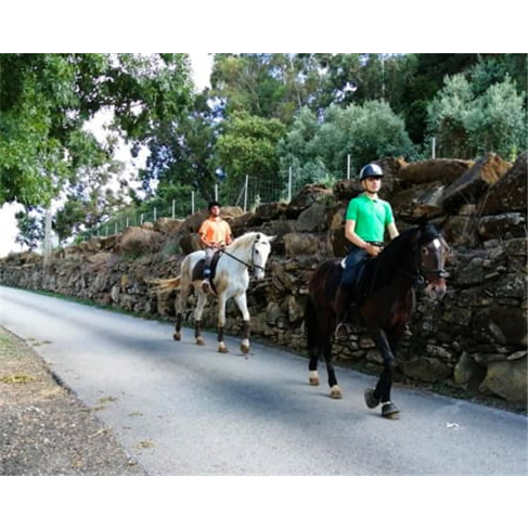 Experiência Equestre | Cent...- Vila Franca de Xira Passeio a Cavalo | 2 Pessoa