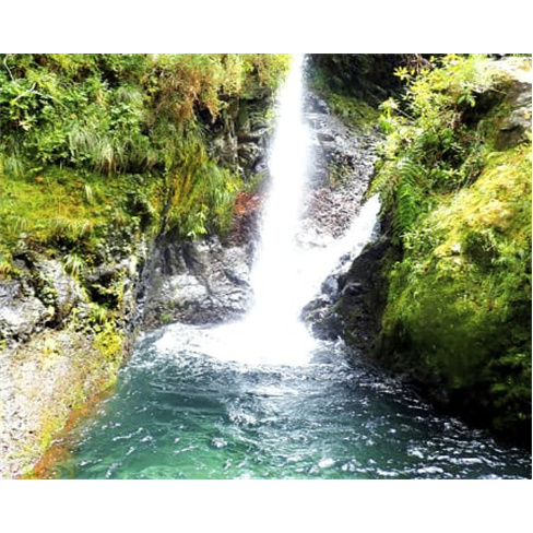 Canyoning Rural na Madeira: Aventura em Santa Cruz - Experiência Individual