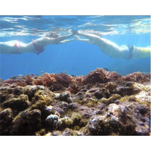 Kayak & Snorkeling na Reserva Natural Parcial do Garajau | Lokoloko - Santa Cruz