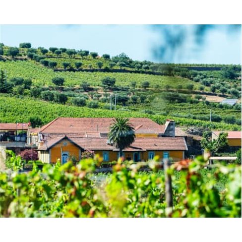 Visita e Prova de Vinhos a Dois | Douro | 8 Experiências à Escolha