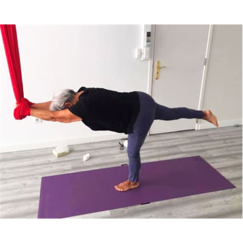 Workshop de Yoga Suspenso para Adultos ou Crianças - 1h30 | Shala Academia - Al