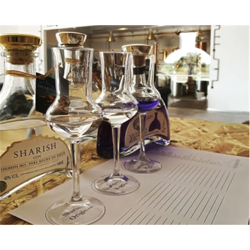 Tour Destilaria: Prova 4 Gins + Tónico Sharish Reguengos (55 caracteres)