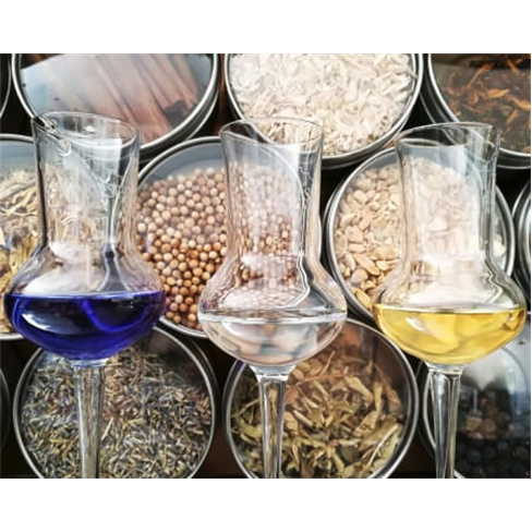 Sabores únicos de gin em Reguengos de Monsaraz para 2 pessoas (63 caracteres)