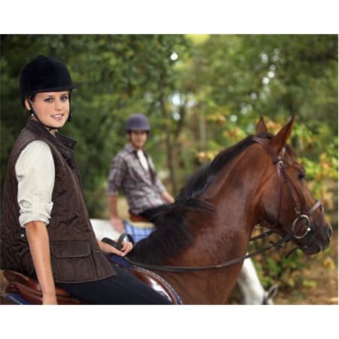 Passeio a Cavalo no Ribatejo | Centro Equestre | 1 Pessoan(52 caracteres)