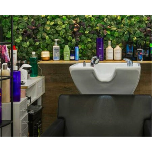 Corte de Cabelo + Brushing ... - Lisboa Corte + Tratamento Hidratação + Brushi