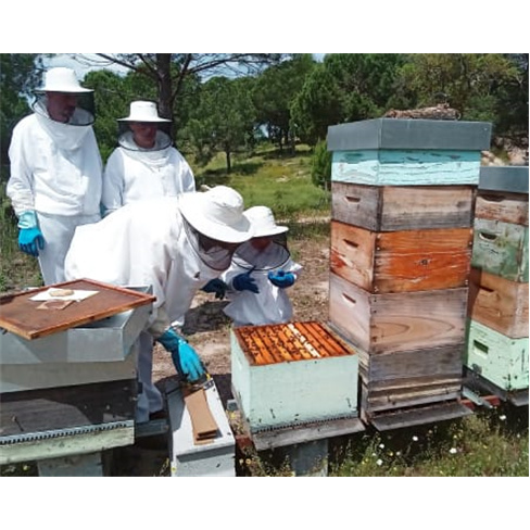 Experiências Imersivas no Habitat Natural das Abelhas para Dois | A Apicultora
