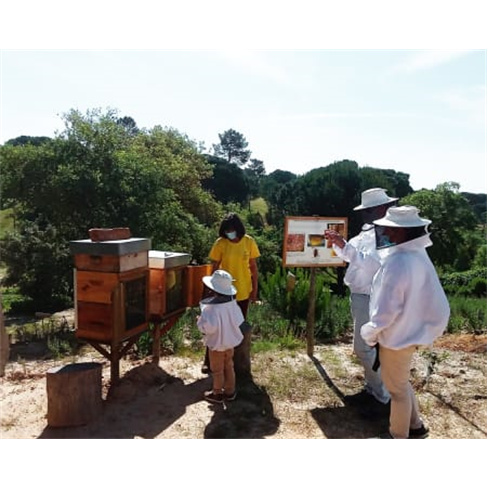 Experiências Imersivas no Habitat Natural das Abelhas para Dois | A Apicultora