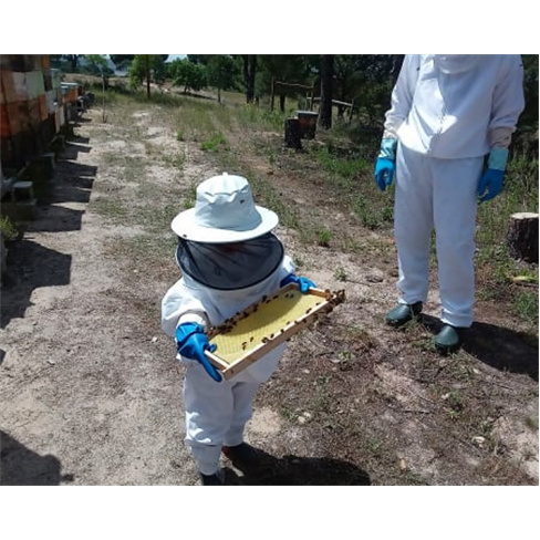 Experiências Imersivas no Habitat Natural das Abelhas para Dois | A Apicultora