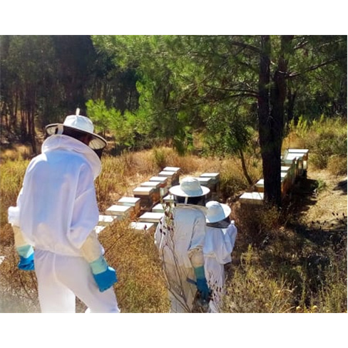 Experiências Imersivas no Habitat Natural das Abelhas para Dois | A Apicultora