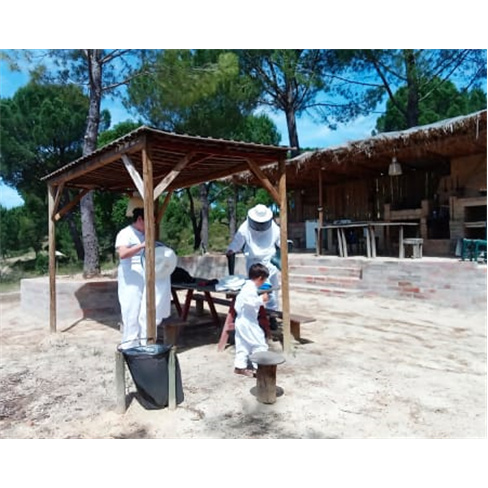 Experiências Imersivas no Habitat Natural das Abelhas para Dois | A Apicultora