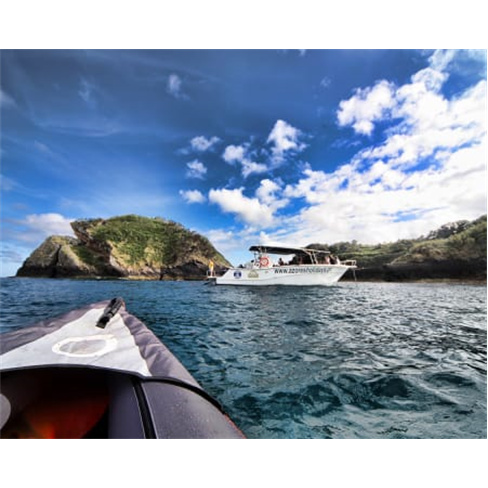 Observação de Golfinhos e B...s Açores | Ponta Delgada Experiência para 1 Ad