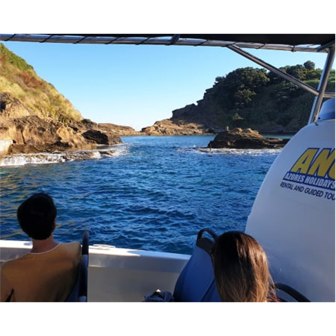 Observação de Golfinhos e B... Açores | Ponta Delgada Experiência para 2 Adu