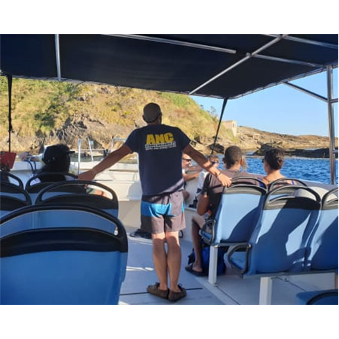 Observação de Golfinhos e B...s Açores | Ponta Delgada Experiência para 1 Ad