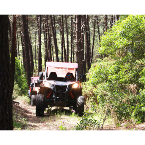 Tour de Buggy 4x4 para Dois | nazaréwaterfun Buggy Green Tour