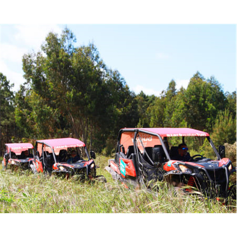 Tour de Buggy 4x4 para Dois | nazaréwaterfun Buggy Green Tour