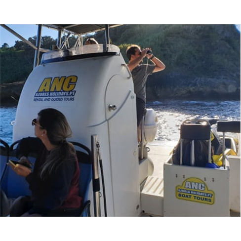 Observação de Golfinhos e B... Açores | Ponta Delgada Experiência para 2 Adu