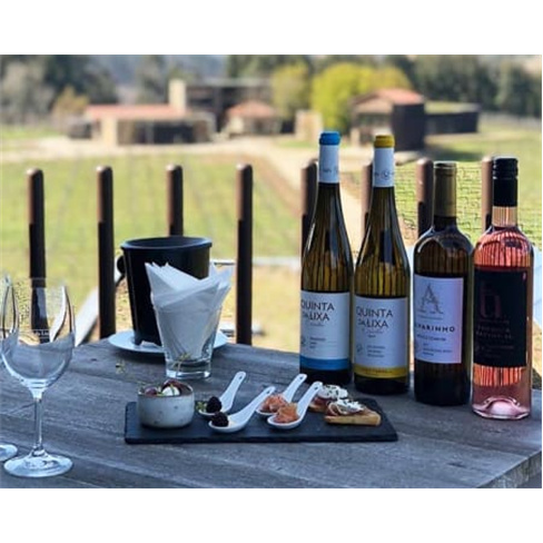 Visita e Prova 5 Vinhos na Quinta nn(30 caracteres, incluindo espaços)