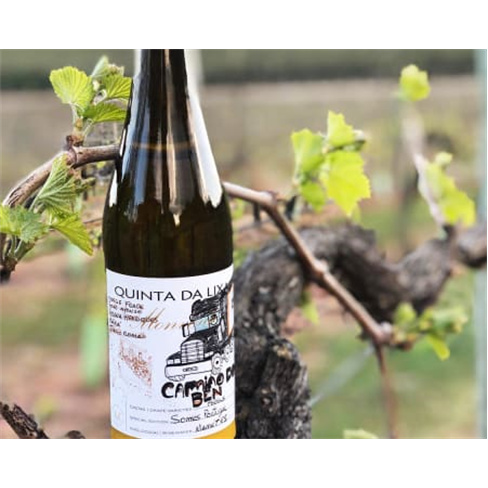 Visita e Prova 5 Vinhos na Quinta nn(30 caracteres, incluindo espaços)
