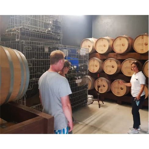 Visita Guiada à Vinha & Adega + Prova de Vinhos para Dois | Quinta dos Monteiri