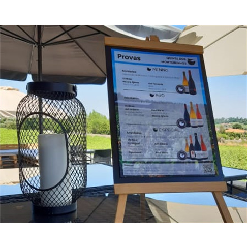 Visita Guiada à Vinha & Adega + Prova de Vinhos para Dois | Quinta dos Monteiri