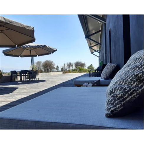 Visita Guiada à Vinha & Adega + Prova de Vinhos para Dois | Quinta dos Monteiri