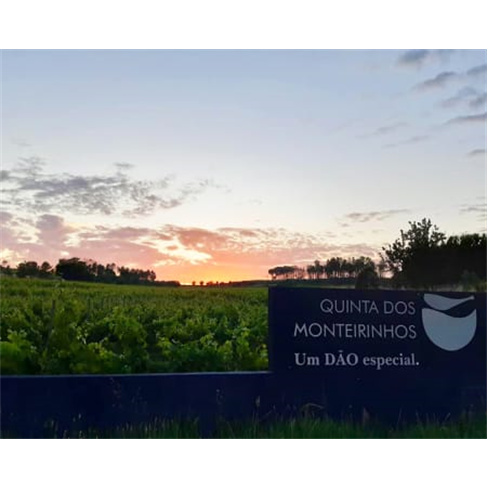 Visita Guiada à Vinha & Adega + Prova de Vinhos para Dois | Quinta dos Monteiri