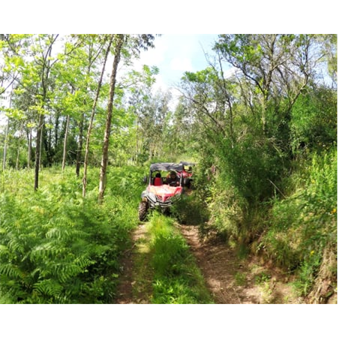 Passeio de Buggy Todo-o-Ter...ia Percurso das Aldeias Serranas do Bussaco | 1h45
