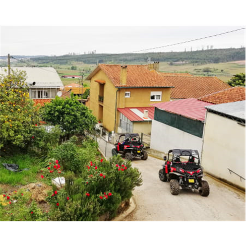 Passeio de Buggy Todo-o-Ter...s - Anadia Percurso do Vinhedos da Bairrada | 1h45