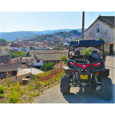 Passeio de Buggy Todo-o-Ter...s - Anadia Percurso do Vinhedos da Bairrada | 1h45
