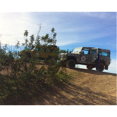 Safari ao Pôr-do-Sol com Jantar no Algarve - 4h30 | Zebra Safari Tours - Albufe