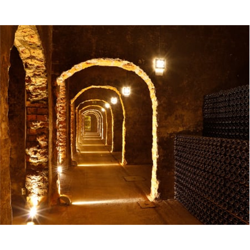 Visita Guiada às Caves Messias com Prova de Vinhos para Dois | Mealhada