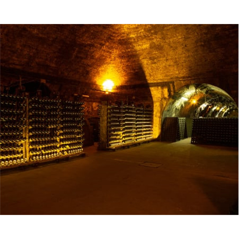 Visita Guiada às Caves Messias com Prova de Vinhos para Dois | Mealhada