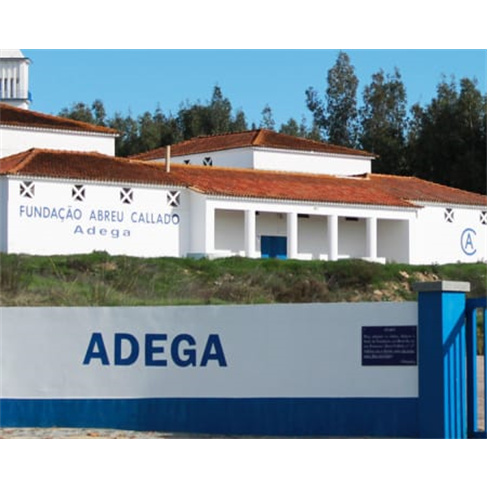 Visita à Adega, Vinha e Prova de Vinhos para 2 na Fundação Abreu Callado - Av