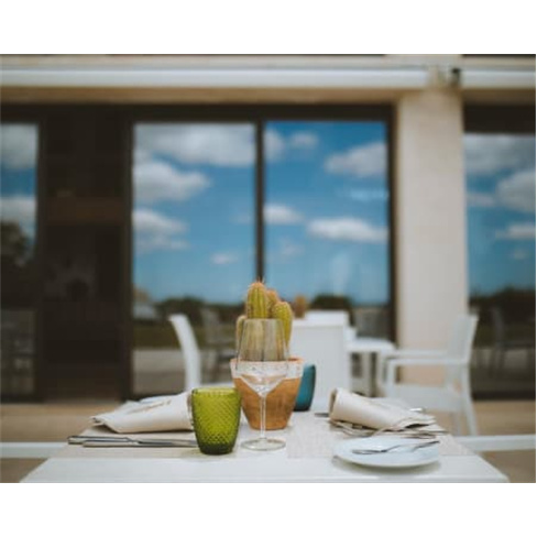 Delicie-se com a Gastronomia Portuguesa no Gavius do Conímbriga Hotel do Paço.