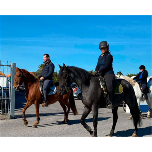 Baptismo a Cavalo | Centro Hípico Quinta do Rei - Pinhal Novo Experiência para