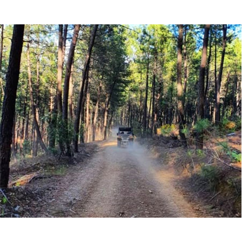 Oporto Buggy - Passeio de B... Porto! Passeio de Buggy «Cross Country» | 2 Hor