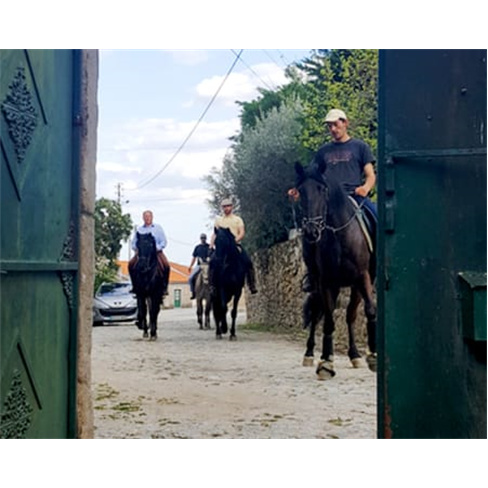 Batismo Cavalo ou Pónei + Visita Quinta Bacelada - Mêda - 1 Pessoa