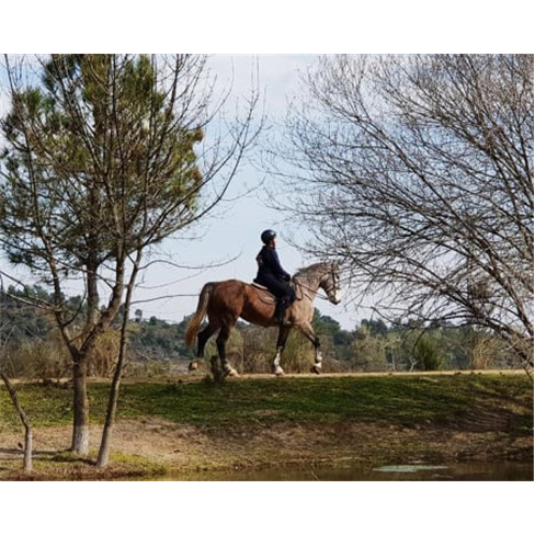 Batismo Cavalo ou Pónei + Visita Quinta Bacelada - Mêda - 1 Pessoa