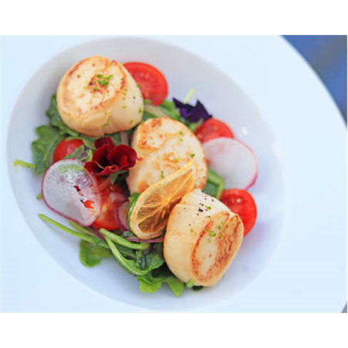 Cheque Gourmet 30€ + Vista para o Rio Tejo a Dois | Tago's - Almada