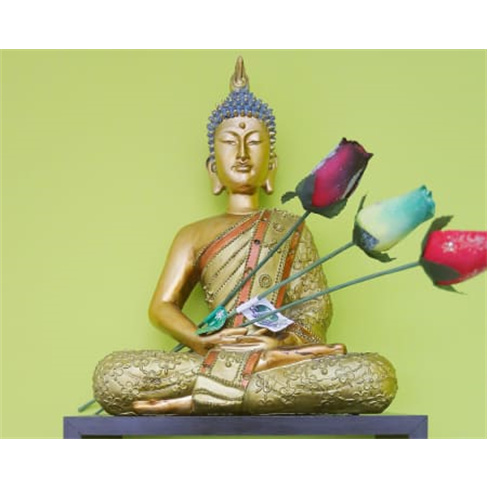 Limpeza de Pele Profunda | Templo de Gaya - Aveiro Limpeza Pele c/ Peeling Ultra