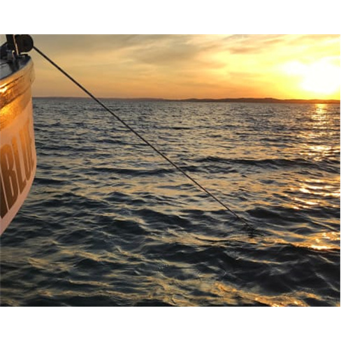 Passeio de barco ao pôr-do-sol em Alvor - 2 horas | Criança bilhete grátis